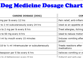 21 described medication chart for dogs