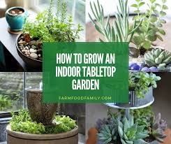 Check out this great how to from rad megan. 15 Best Indoor Tabletop Garden Ideas Designs For 2021