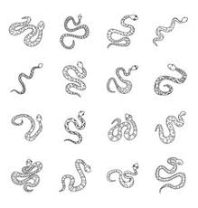 Amazing small snake tattoo design ideas snake tattoo is a. Snake Tattoo Coiled Vector Images Over 330