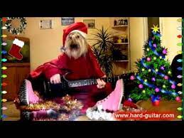 New Year Funny We Wish You A Merry Christmas Dog Playing Guitar Funn Merry Christmas Dog Christmas Dog Funny Greeting Cards