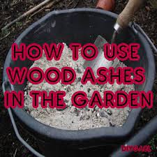 Diy Gardening Better Living How To Use Wood Ashes In The Garden Ash Wood Wood Charcoal Compost Soil