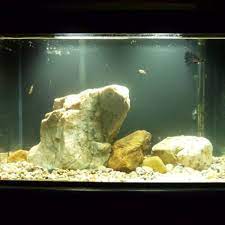 / 3.78 kg per gallon and 2.20 lb. Aquarium Rocks Safe And Unsafe Rocks To Put In Fish Tanks Pethelpful