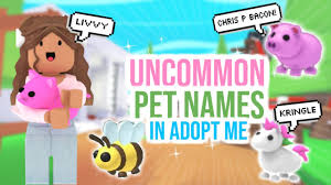 50 Uncommon Pet Names In Adopt Me Sunsetsafari Youtube