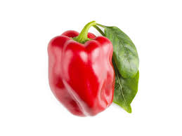 How to plant bell peppers. Red Sweet Pepper Plant Pods Click Grow