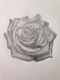 Hand Drawn Rose Tattoo Design Using Pencil Rose Tattoo Design Rose Tattoo Roses Drawing