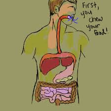 Https Encrypted Tbn0 Gstatic Com Images Q Tbn And9gcr46k2ilxh1jcs3xyiu Jknii2fzlwxcbey6g Usqp Cau