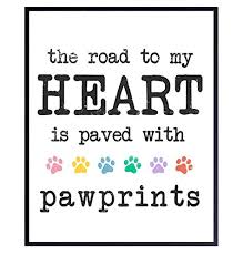 Our collection of the cutest dog themed home decor items includes over a 1,150 products in over 50 fur baby breeds. Customer Favorite Cat Wall Decor Dog Wall Decor Cat Decorations For Cat Lovers Cat Themed Gifts Pet Owner Gifts Cat Wall Art Puppy Wall Decor