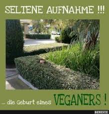 Seltene Aufnahme Lustige Bilder Spruche Witze Echt Lustig Lustige Spruche Bilder Lustige Bilder Witze Spruche