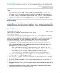 E Commerce Director Resume Sample Free Resume Samples Resume Free Resume