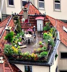 Disini saya melakukan review dan melihat lihat koleksi tanaman bunga hias says diteras rumah, sangat menyenangkan. 16 Ide Taman Di Atas Rumah Yang Indah Rooftop Garden