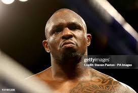 4,231 Steven Boxer Photos & High Res Pictures