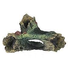 Erik, ryan, and cooze start college and pledge the beta house fraternity, presided over by none other than legendary dwight stifler. Buy Slome Aquarium Decaying Trunk Ornament Fish Tank Wood Betta House Decorations With Holes For Small Fish Pets To Swim Through For Small And Medium Fish Tank Decor Online In Kuwait B07l7c58lf