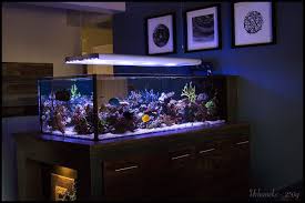 Are You Concerned About How A Pump Looks Inside Your Tank Flow Issues Aesthetics And Power Head Frust Saltwater Fish Tanks Saltwater Aquarium Marine Aquarium