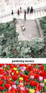 Gardening Nursery 24 20190425181259 53 Netherlands Garden Monty Don Big Garden Totem Poles Uk Athleti Garden Totem Gardening Books Gardening For Beginners