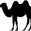 Polish your personal project or design with these camel train transparent png images, make it even more personalized and more attractive. Https Encrypted Tbn0 Gstatic Com Images Q Tbn And9gcsz8c1xieh5xzhqfkfstq9kd88gbpn Fq2 Medloitqkpmw2flv Usqp Cau