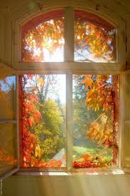 The Green The Amber The Golden Light Of Autumn Herbstbilder Herbst Herbst Bilder