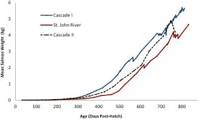 Production Of Market Size North American Strain Atlantic