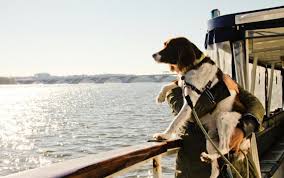 Great Pet Friendly Boat Cruises Petswelcome Com