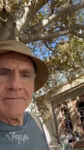 Vera Knox's Instagram, Twitter & Facebook