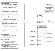 Professione Ostetrica Dall Assistenza Al Coordinamento In Ginecologia
