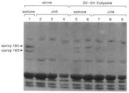 Experiment with deviantart's own digital drawing tools. Gel Page 6