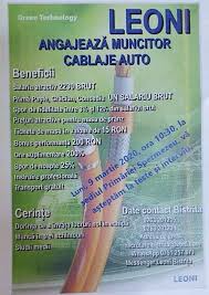 Analize 20 iulie 2021, 16:57 șeful cj hunedoara continuă lupta pentru preluarea termocentralei mintia: Leoni Bistrita Cauta Viitori Angajati In Judet Ce Pachet Salarial Le Ofera