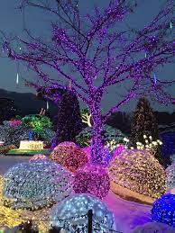 South Korea S Top Attractions South Korea Photography South Korea Travel South Korea
