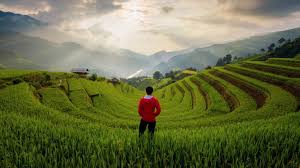 It is located about 350 km northwest of hanoi, close to the chinese border. Trekking In Sapa Everything You Need To Know Bookmundi