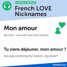 Les Petits Noms D Amour French Love Nicknames Audio Love Nicknames French Vocabulary Grammar And Vocabulary