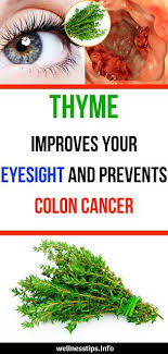 Thyme Improves Your Eye Sight And Prevents Colon Cancer Thyme Eyes Eyesight Cancer Prevention Coloncancer He Coconut Health Benefits Colon Cancer Health