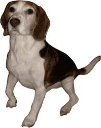 Maybe you would like to learn more about one of these? Vector Beagle For Free Download About 5 Vector Beagle Sort By Newest First
