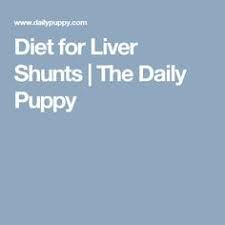 Liver shunt symptoms include gastrointestinal problems, seizures and behavioral changes. 20 Liver Shunt Diet For Dogs Ideas Liver Diet Dog Food Recipes