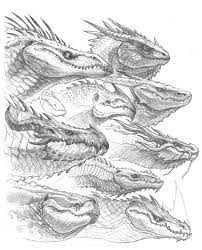 This should include the angled snout and notice how the tip of the snout forms a hook like shape. Artstation Dragon Head Sketches John Tedrick Dragon Head Drawing Dragon Sketch Dragon Art