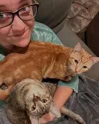 The Caffeinated Cat Cafe