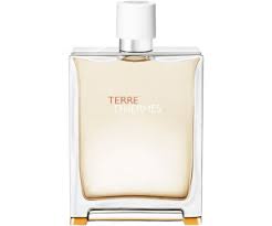Hermès terre d'hermès ist eine duftreise durch die elemente luft, erde und wasser. Hermes Terre D Hermes Eau Tres Fraiche Eau De Toilette 125ml Ab 55 95 Preisvergleich Bei Idealo De