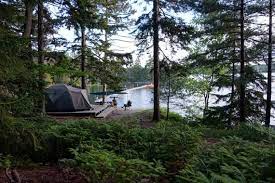 Mount Desert Campground Beautiful Wooded Setting And Stunning Ocean Views Free Camping Yosemite Camping Go Camping