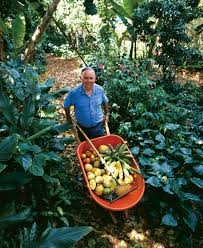 A dome greenhouse gardeners guide to growing tropical fruit trees, vines, and shrubs. Growing A Juicy Fruit Forest Finegardening