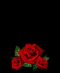 Black Background With Rose Border Pin On Flores Para Ti