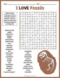 Planned activities (replace the notes below with your planned activities). Fossil Activity Worksheets Teachers Pay Teachers