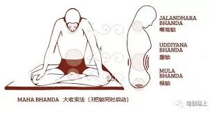 Maybe you would like to learn more about one of these? After Practicing Yoga For So Long I Just Learned That Bandha Is Going To Start Like This Collection Level Daydaynews