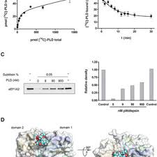 La plitidepsina, un fármaco antiviral que demostró una disminución del 99 por ciento de las cargas indigo staff. Pdf Translation Elongation Factor Eef1a2 Is A Novel Anticancer Target For The Marine Natural Product Plitidepsin