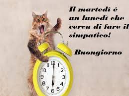 Visualizza altre idee su martedì, immagini, buongiorno martedì. Buon Martedi 112 Frasi E Immagini Da Condividere Aforismi E Citazioni