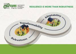 Today, scott is a world class producer of automation systems and solutions. A Framework To Assess The Resilience Of Farming Systems Sciencedirect