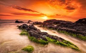   Sunset 夕陽