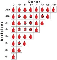 Image result for Plasma Transfusion