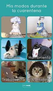 Play time meme gacha life. Pin On Memes De Cuarentena