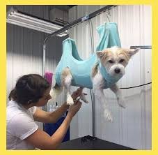 Hammock Helper Grooming Hammock Grooming And Nail Trimming Made Easy Size Large Dog Groo Dog Grooming Dog Grooming Shop Dog Washing Station