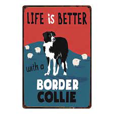 Shop for border collie wall art from the world's greatest living artists. Kelly66 Border Collie Metal Sign Tin Poster Home Decor Bar Wall Art Painting 20 30 Cm Size Y 2146 Plaques Signs Aliexpress