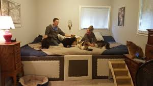 Cama De Casal Com Casinha De Cachorro Casal Cria Cama De 7 Metros Para Dormir Com 5 Gatos E 2 Cachorros Cama Enorme Arrumar A Cama Camas Grandes