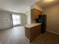 Search 564 apartments for rent with 2 bedroom in bushwick, new york, new york. Iwce8bbohhmyqm
